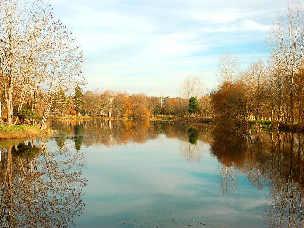 Coadiçais or Cedros Lagoon